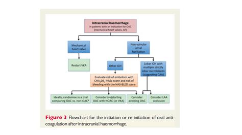 Management Of Antithrombotic Therapy After Bleeding In Patients With