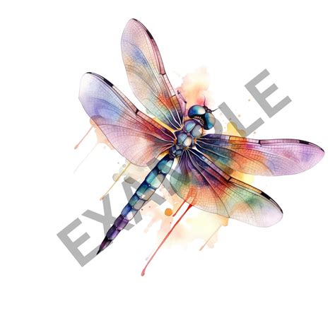 Watercolor Dragonflies Clipart, Watercolor Insects, Painted Dragonfly ...