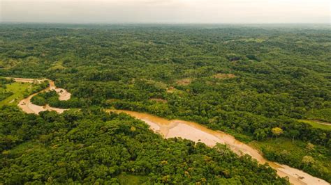 Escapadas A Putumayo 3 Actividades Que No Te Puedes Perder