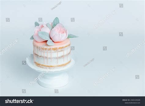 Simple White Pink Miniature Naked Birthday Stock Photo Shutterstock