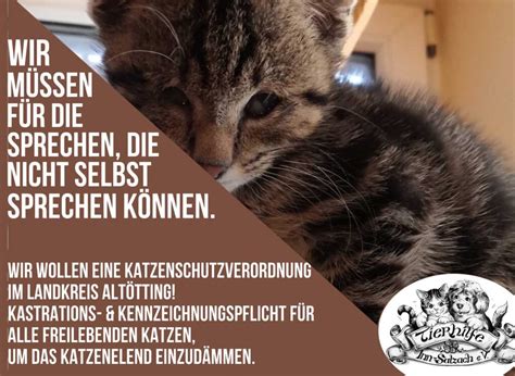 Petition F R Eine Katzenschutzverordnung Im Landkreis Alt Tting