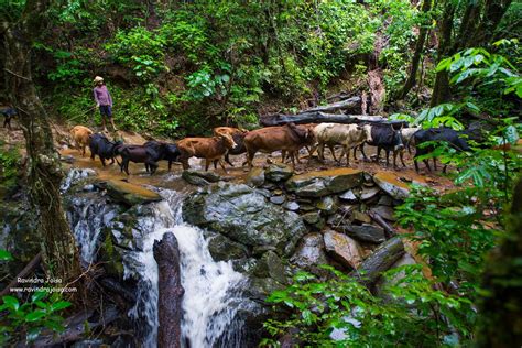 Kudremukh Trek - Truly a trekkers paradise