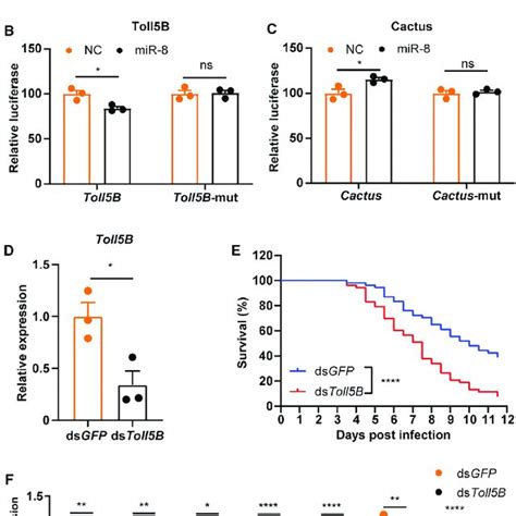 Microrna Aae Mir 8 Negatively Regulates Ae Aegypti Toll Immune