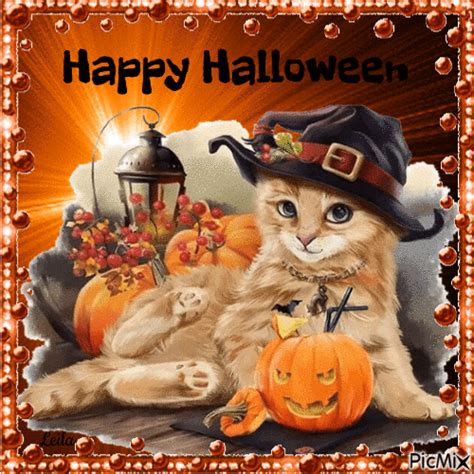 Adorable Halloween Cat Pictures Photos And Images For Facebook