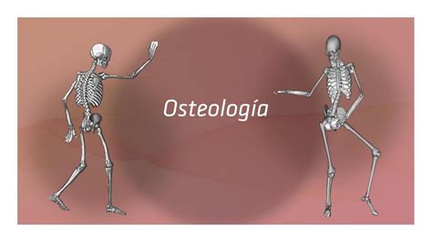 Osteolog A Huesos Cuerpo Humano Udocz