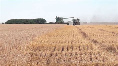 Mercosur Wheat Argentina Lack Of Water In Brazil Is Has Been Pouring