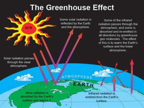 Climate Change Flashcards Quizlet