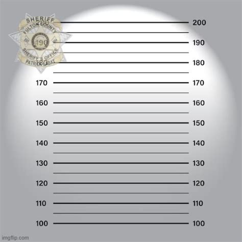 Fulton County Mugshot Template Best Sale | dakora.com.co