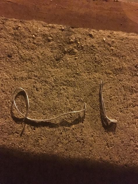 What are these wires I keep finding on my porch? : r/whatisthisthing
