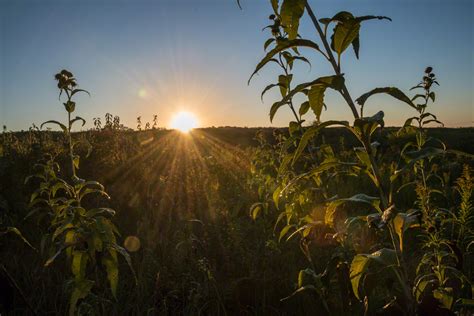 Fall Equinox Sunrise | Nine Mile Prairie