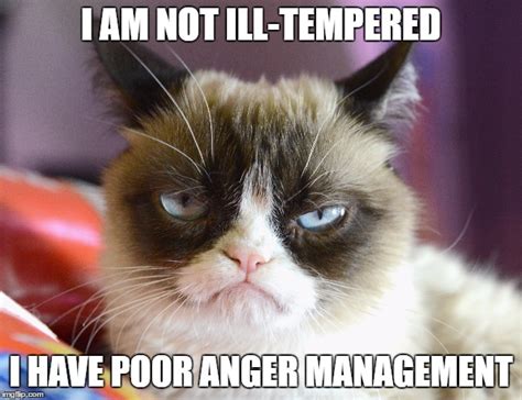 Cats Tardar Sauce The Grumpy Cat Cats Photo Fanpop