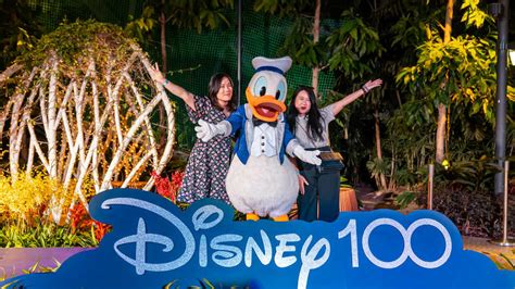 Disney At Jewel Changi Airport Celebrates Years Of Disney