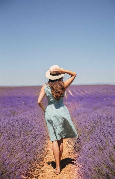 The Londoner » The Lavender Festival, Provence