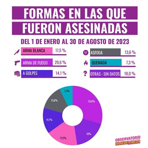 Ahora Que Si Nos Ven Informes Femicidios En