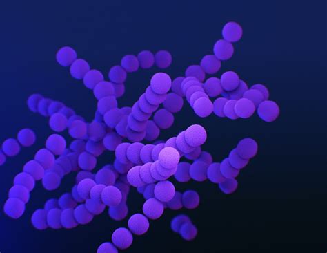 Difference Between Aerobic Bacteria and Anaerobic Bacteria