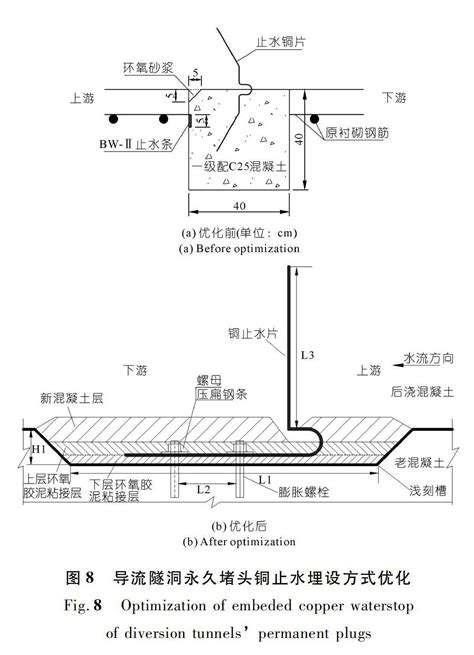 大型导流隧洞群下闸封堵风险分析及对策参考网