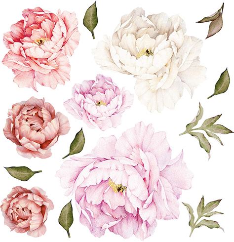 Amazon Peony Flowers Wall Sticker D Floral Decals Peel And Stick