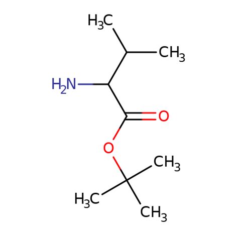 GAA07059 6070 59 3 DL Valine Tert Butyl Ester