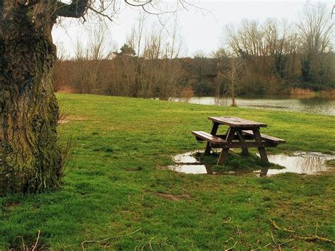 Pique nique avorté autour du lac de la forêt de Châtellerault Outdoor