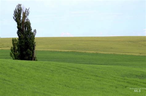 Culdesac Nez Perce County Id Farms And Ranches For Sale Property Id