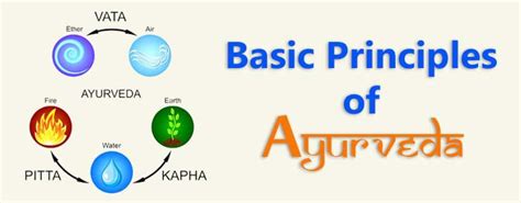 Principles Of Ayurveda Aym Ayurveda School