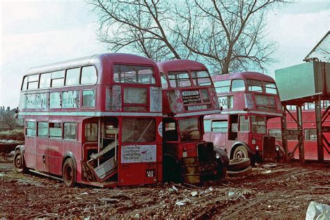 Wombwell Diesels London Transport Aec Rt Buses Being Scrap Flickr