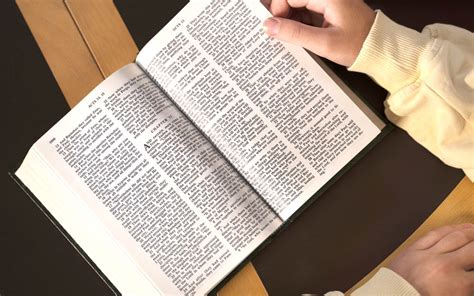 Sociedad Bíblica lanza la primera Biblia para disléxicos Verdad y Vida