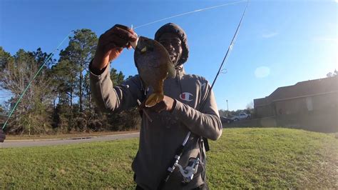 Bass Fishing Neighborhood Ponds Loaded Ponds Youtube