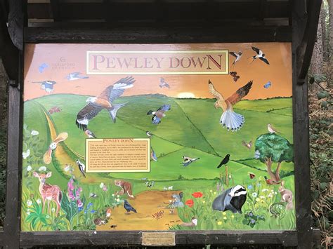 Walking The Scholar's Trail, Guildford — Richard Gower