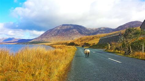 Là Bas Au Connemara Dublin Express