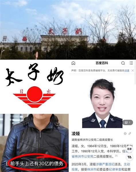 “太子奶”冤案：内奸勾结外资搞垮民族品牌，罪魁祸首凌娅曾是湖南株洲公安局局长，在2010年一手策划针对太子奶创始人及其员工的屠杀事件，还勾结黑