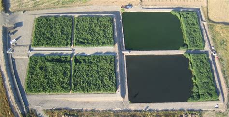 Treatment Plant Based On Constructed Wetlands Technology Verd