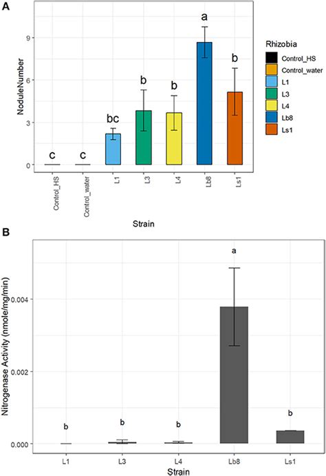 Frontiers Isolation And Characterization Of