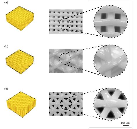 3D Rendering And Photo Of PLA Scaffold Samples With Different Infill