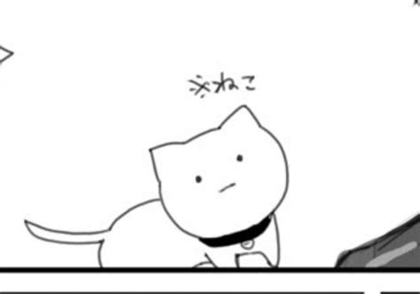 「おまえ 猫か 」𖠅の漫画