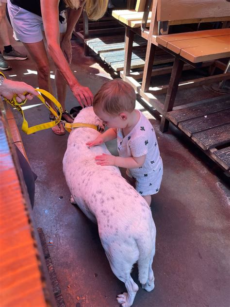 Maricopa County Animal Care & Control - Don't you wish you could see