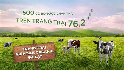 Chúc mừng Lễ khánh thành trang trại bò sữa tiêu chuẩn Châu Âu đầu tiên ...