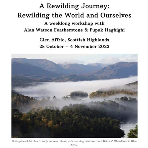 Rewilding Workshops In 2024