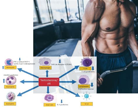 Benefits of Testosterone Replacement Therapy: What to Expect?