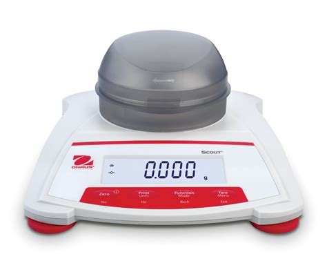 Ohaus Scout STX Series Precision Balance Services