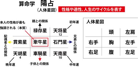 運命の道標：算命学の世界 陽占の世界｜岳人（がくひと）