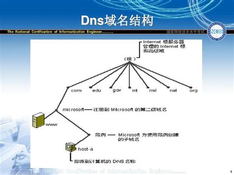 Wifi Dns有哪些？哪个dns服务器 世外云文章资讯