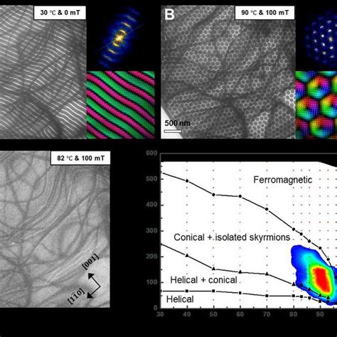 Self Splitting Mechanisms Of SkX Growth Sequences Of LTEM Images From