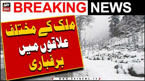 Snowfall Blankets Different Parts Of The Country Video Dailymotion