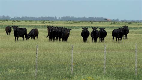 Campos De La Depresi N Del Salado Ayudan A Enfriar El Planeta Sobre