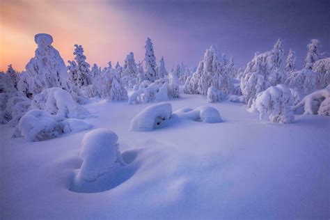 Les fabuleux paysages de la Laponie en hiver et ses aurores boréales