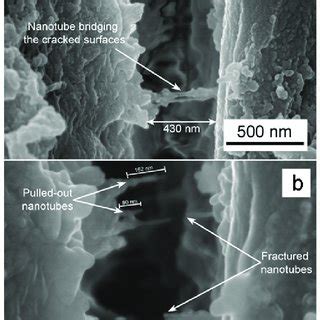 Pc Tio Hn Fractography At High Magnification A A Crack