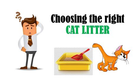 Ep Paano Pumili Ng Tamang Cat Litter Choosing The Right Cat Litter