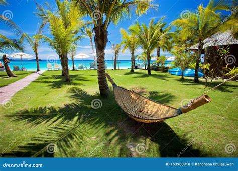 Beach Hammock Under Palm Tree By The Sea At Koh Lipe Stock Photo