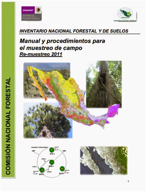 INGENIERIA FORESTAL Documento Manual De Procedimientos Para El